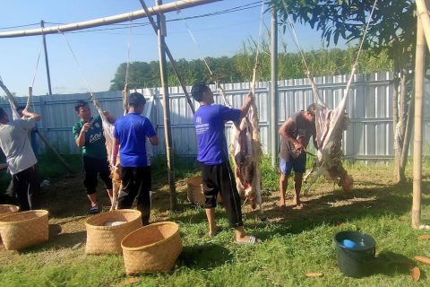 Kegiatan Qurban Idul Adha